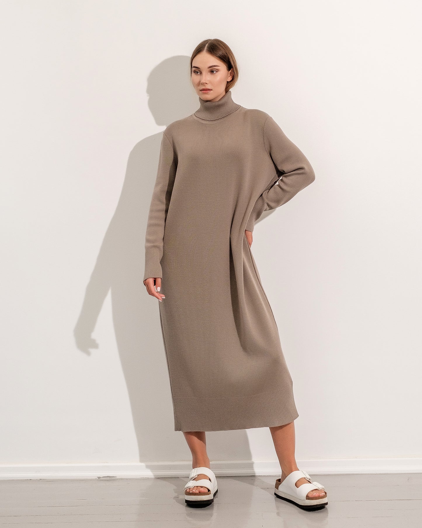 ROLL NECK DRESS